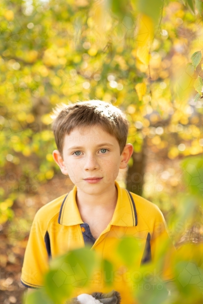 Young boy in school uniform looking into camera, surrounded by yellow leaves - Australian Stock Image