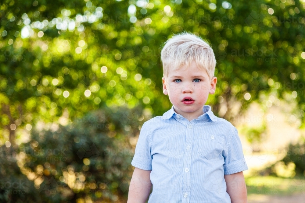 portrait of young boy with neutral expression and green bokeh copy space background - Australian Stock Image