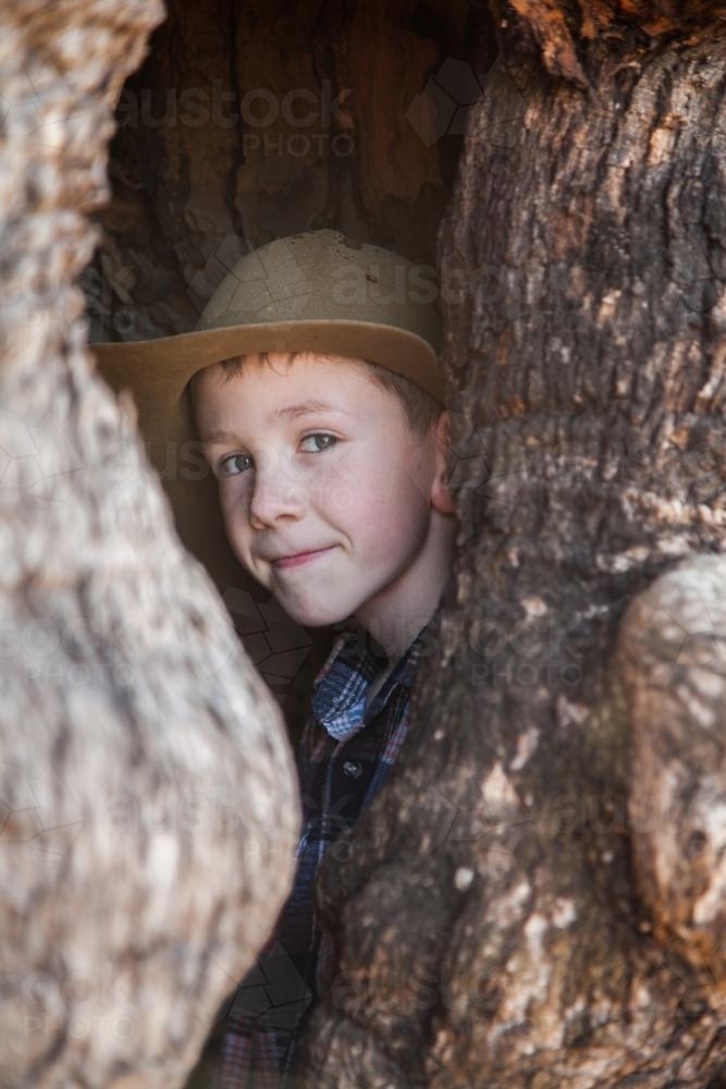 Young boy looking out from inside a hollow tree - Australian Stock Image