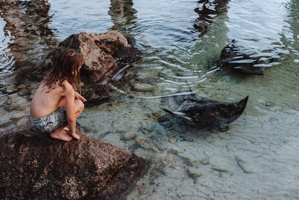 Young boy on rocks looking down at stingrays - Australian Stock Image