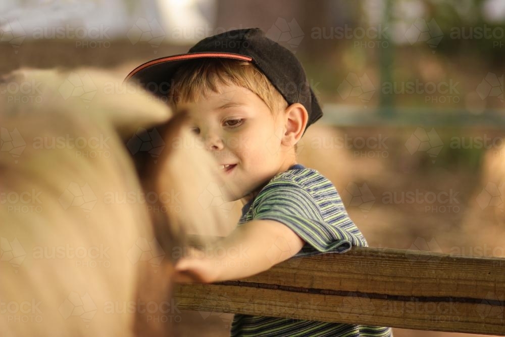 Young boy patting a pony at the local show - Australian Stock Image