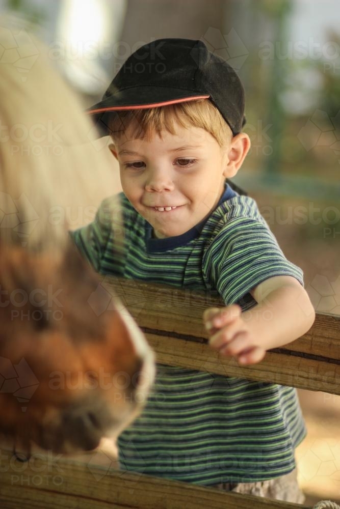 Young boy patting a pony at the show - Australian Stock Image