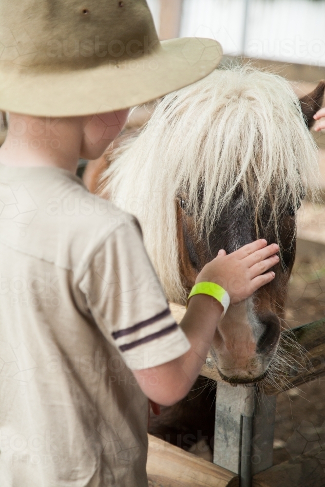 Young boy patting a shetland pony at the show - Australian Stock Image