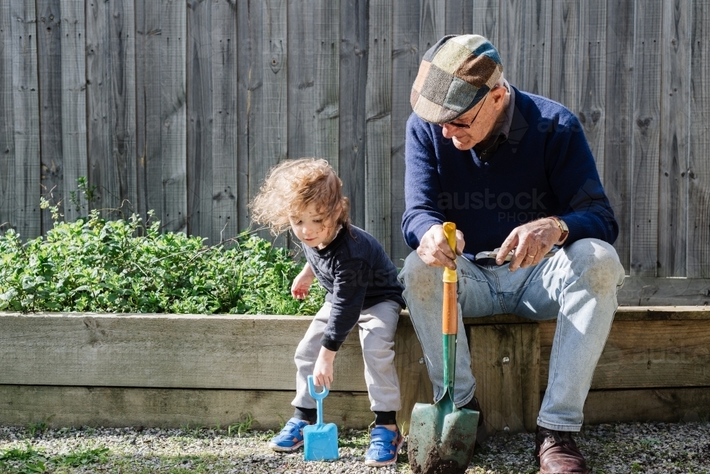 Young boy sitting with his spade just like his grandfather with his shovel in the vegetable garden - Australian Stock Image