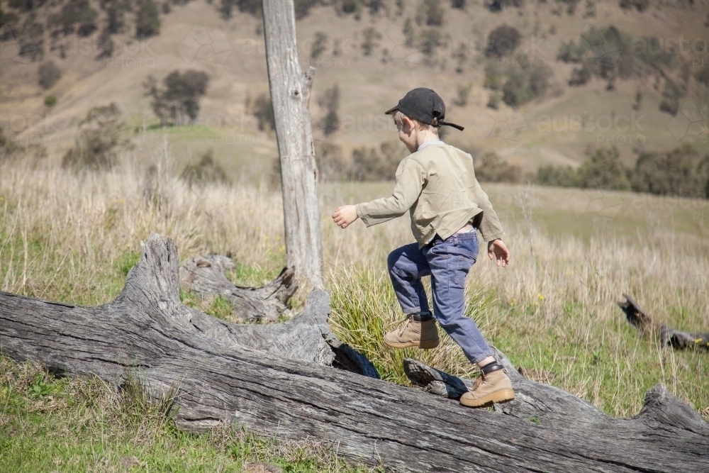 Young boy walking on a fallen log in a paddock - Australian Stock Image