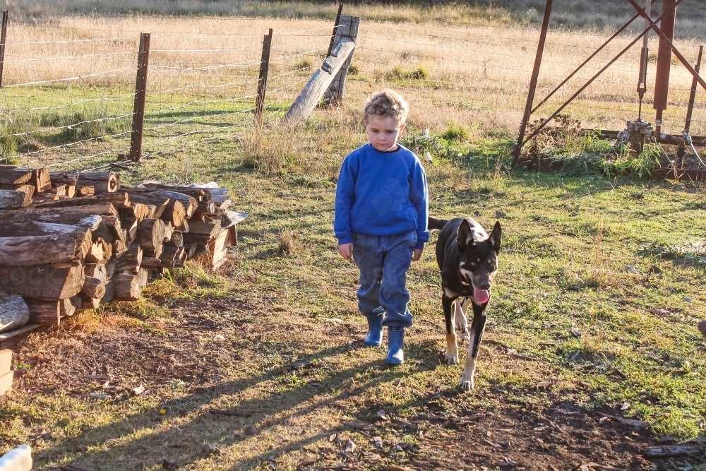 Young boy walking with black and tan kelpie dog near wood pile on farm - Australian Stock Image