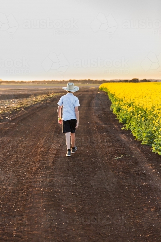 Young boy wearing hat walking down dirt road on farm with canola field paddock - Australian Stock Image