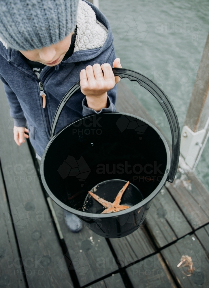 Young boys discover Starfish - Australian Stock Image