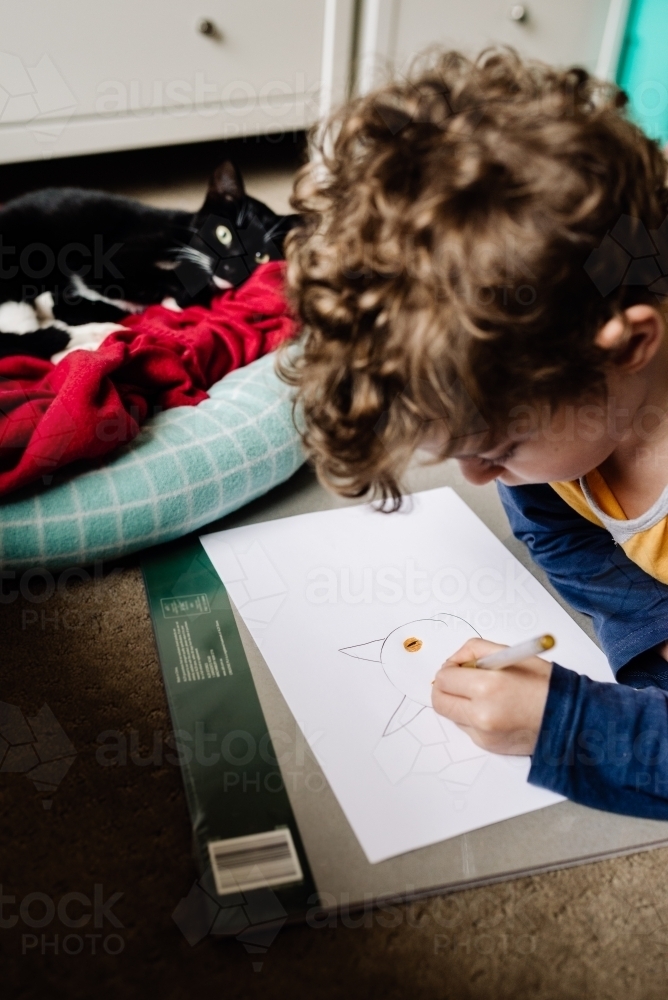 Young child / boy on the floor drawing a picture of his cat in bed - Australian Stock Image