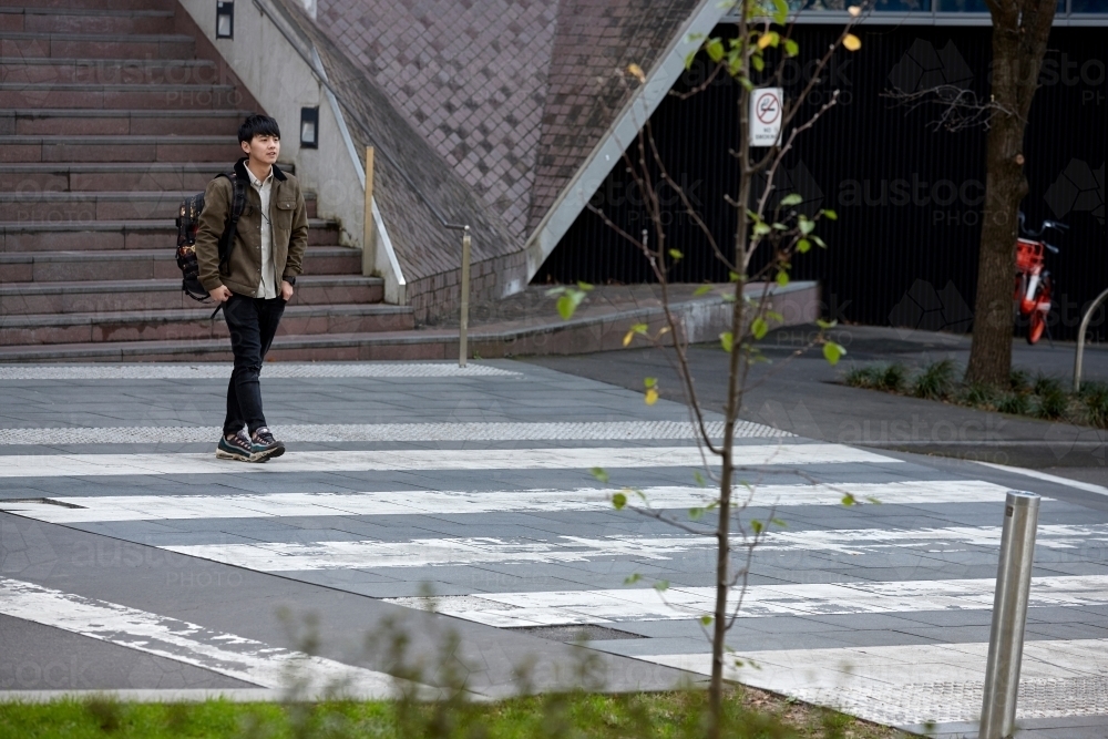 Young Chinese man walking across pedestrian crossing at university campus - Australian Stock Image