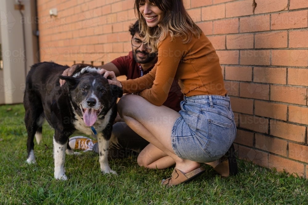 young couple with their dog in the back yard - Australian Stock Image