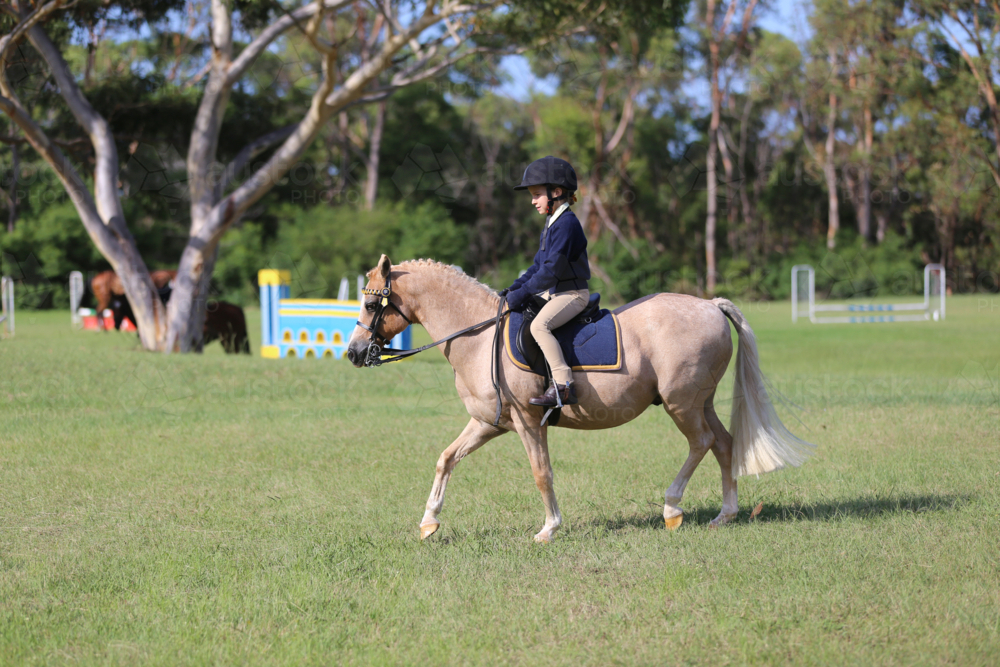 Image of Young equestrian rider on a light-coloured horse - Austockphoto