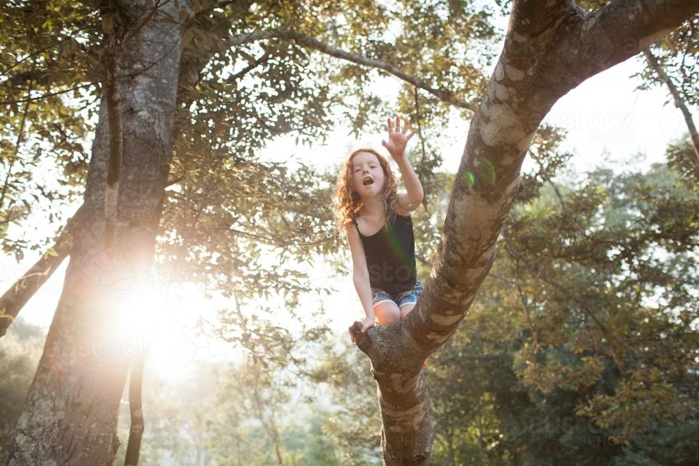 Young girl climbing high in a tree - Australian Stock Image