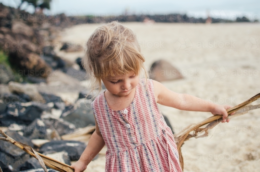 Young girl collecting wood along the beach - Australian Stock Image