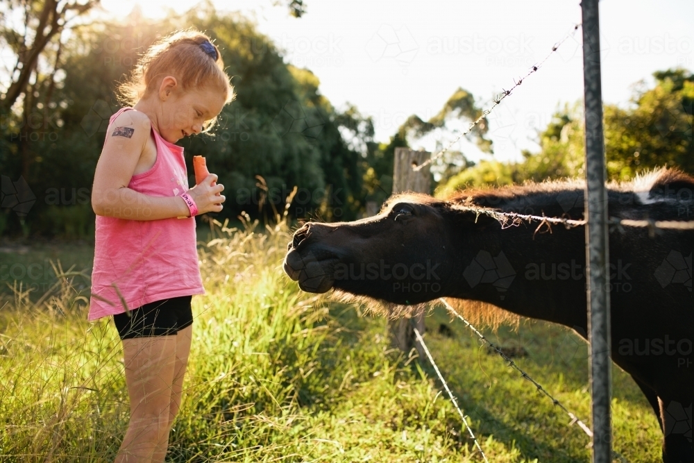 Young girl feeding a carrot to a horse - Australian Stock Image
