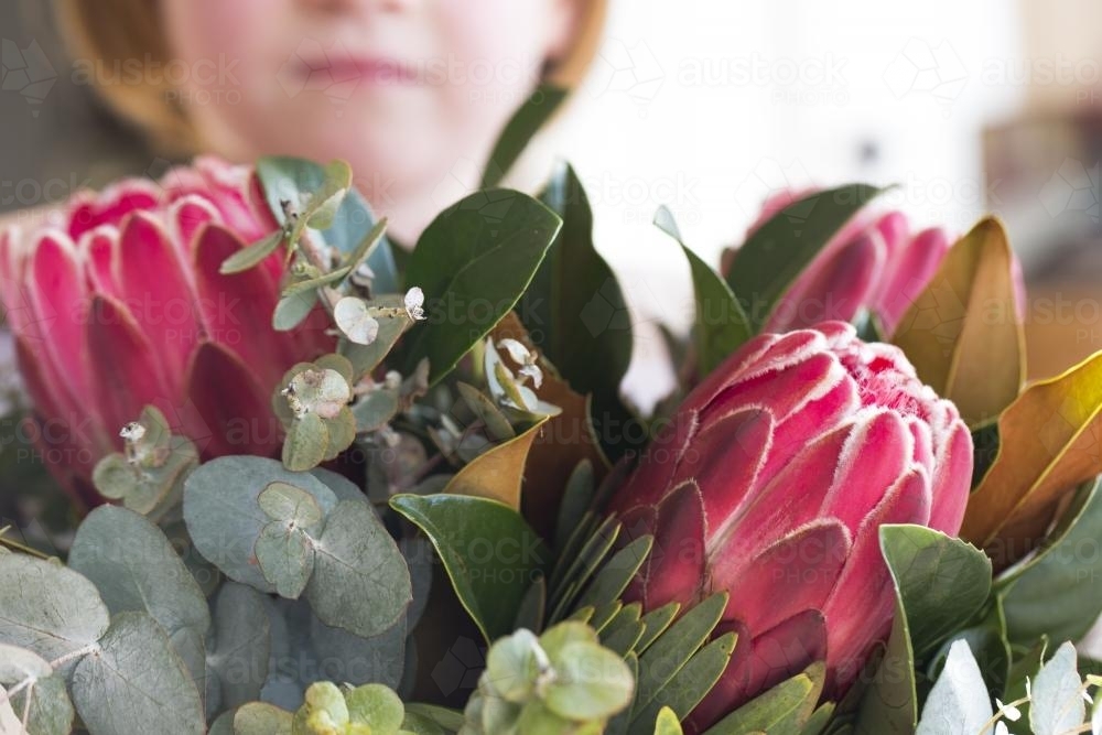 Young girl holding a bunch of pink protea flowers and  native gum leaves - Australian Stock Image