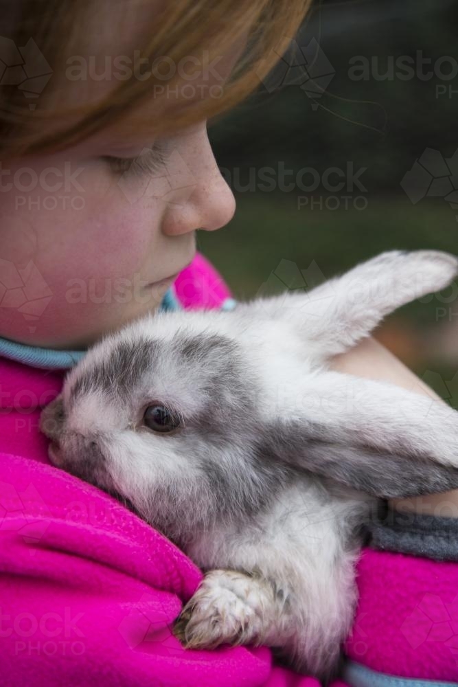 Young girl holding a grey and white mini lop rabbit - Australian Stock Image
