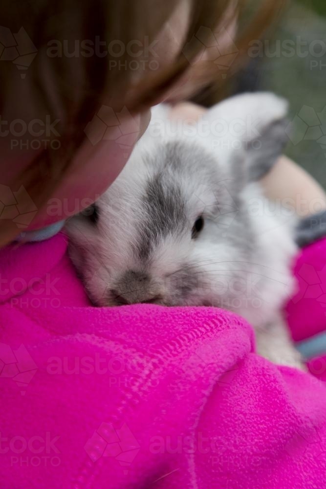 Young girl holding a grey and white mini lop rabbit - Australian Stock Image