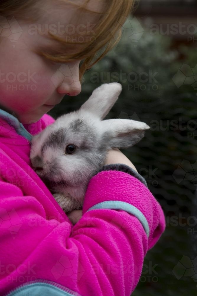 Young girl holding a grey and white mini lop rabbit - Australian Stock Image