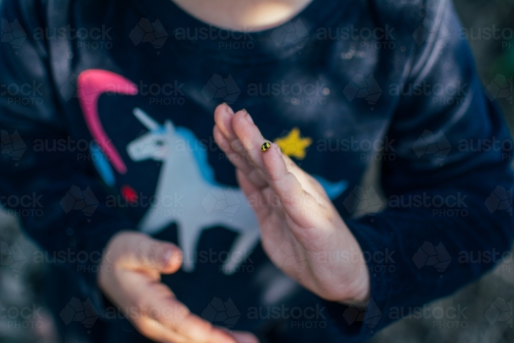 Young girl holding a yellow lady bird - Australian Stock Image
