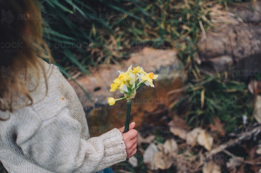 Young girl holding daffodils - Australian Stock Image