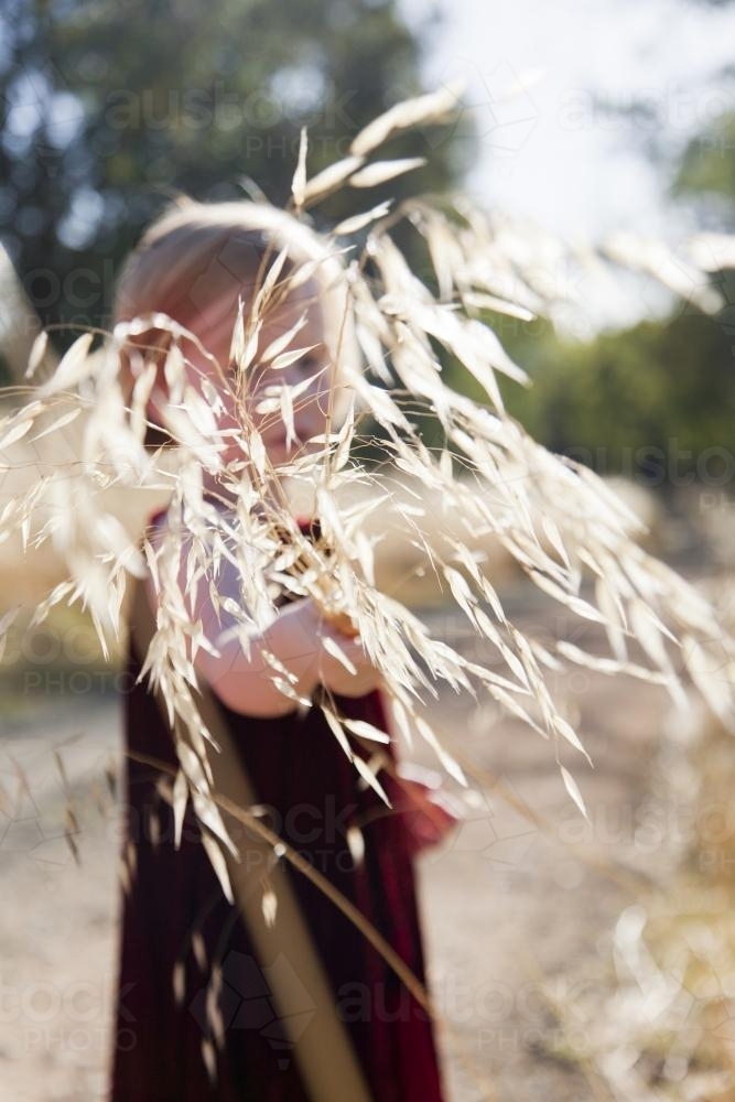 Young girl holding out a stalk of grass and seeds in summer light - Australian Stock Image