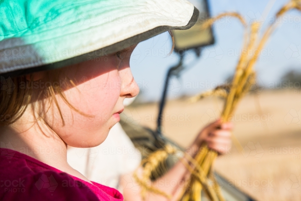 Young girl holding stalks of wheat - Australian Stock Image
