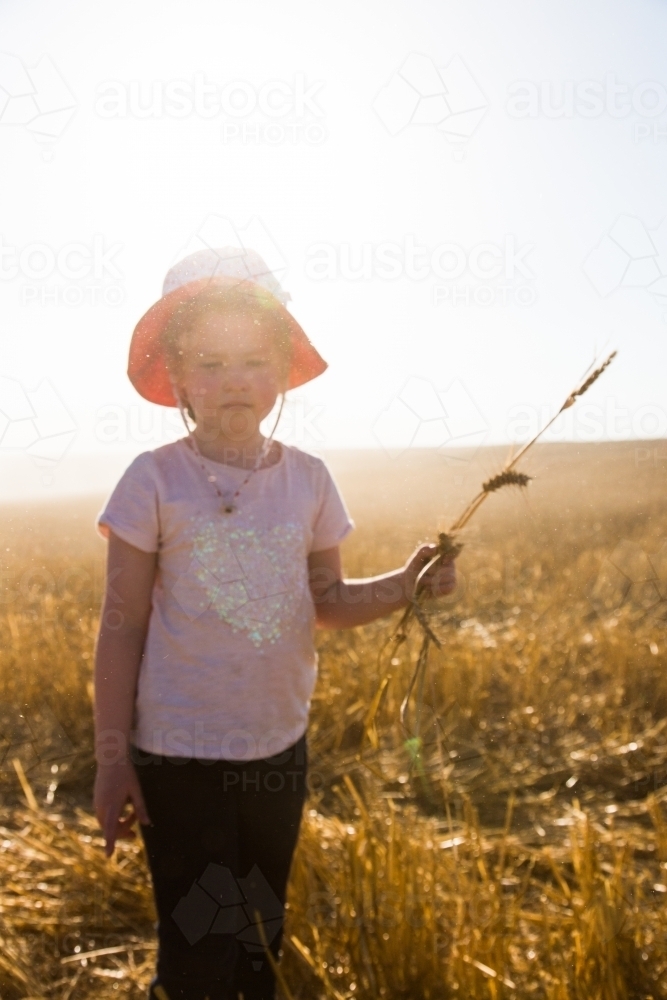 Young girl holding stalks of wheat with sunlight flare - Australian Stock Image