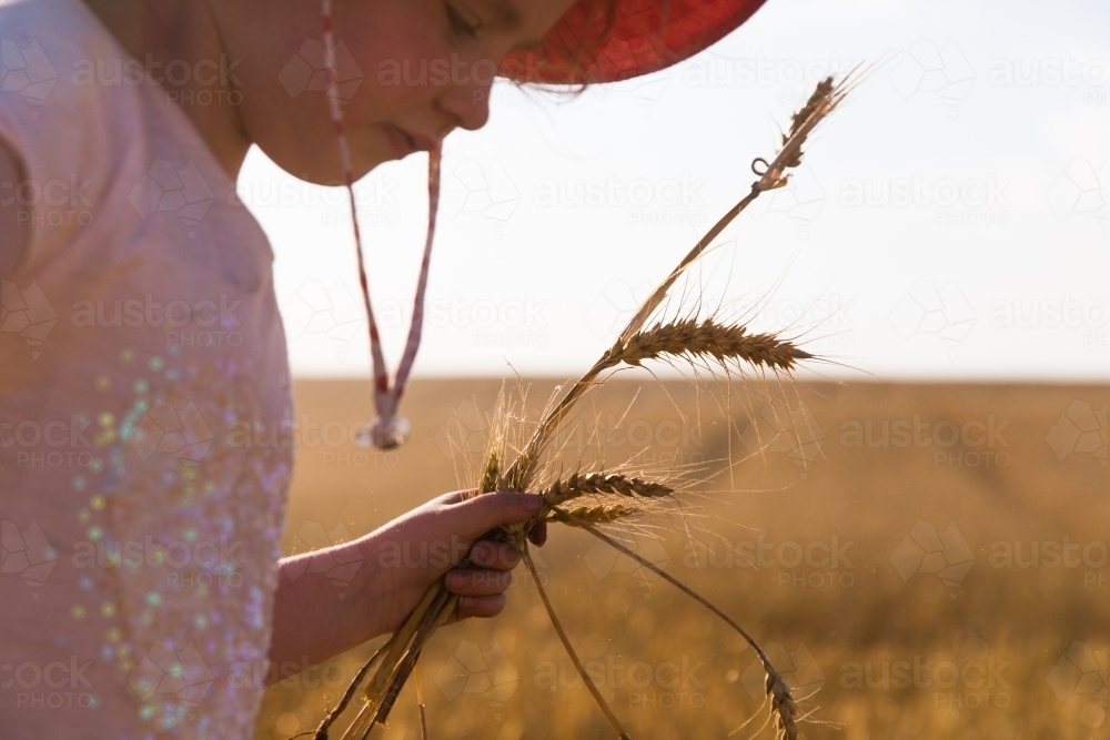 Young girl holding stalks of wheat with sunlight flare - Australian Stock Image