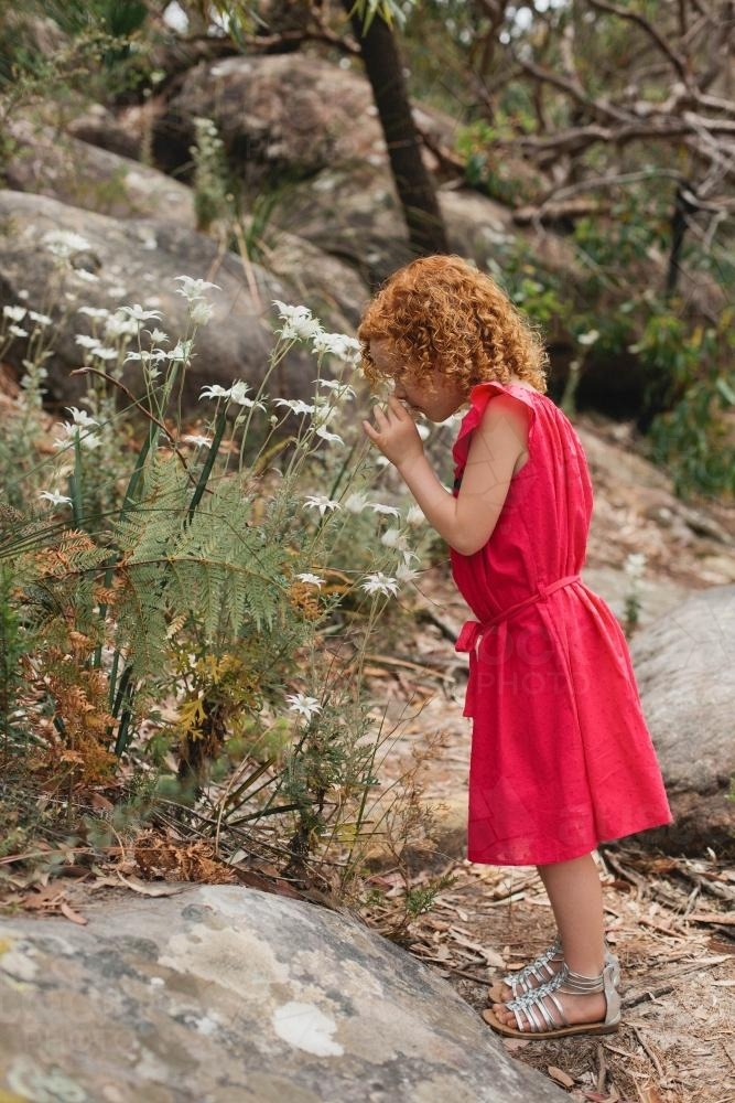 Young girl in a red dress smelling flowers in the bush - Australian Stock Image