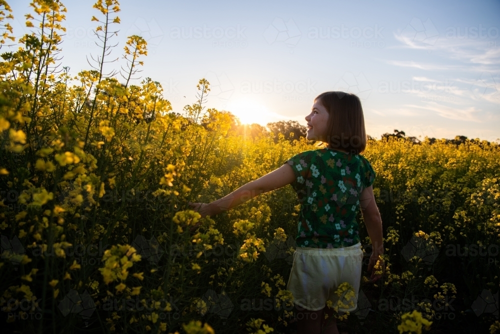 Young girl in canola crop - Australian Stock Image