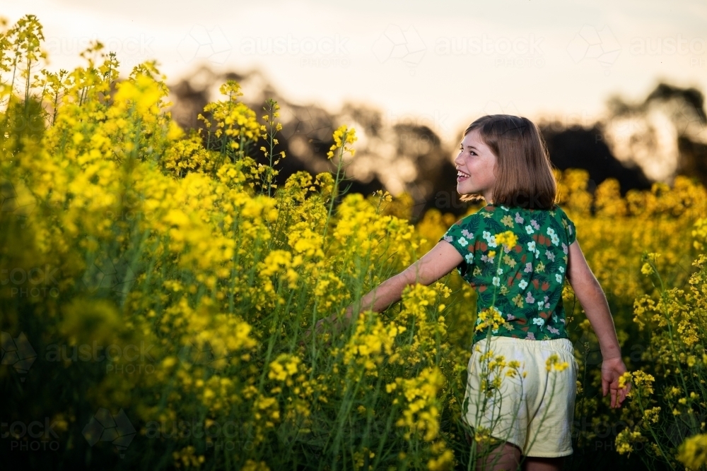 Young girl in canola crop - Australian Stock Image