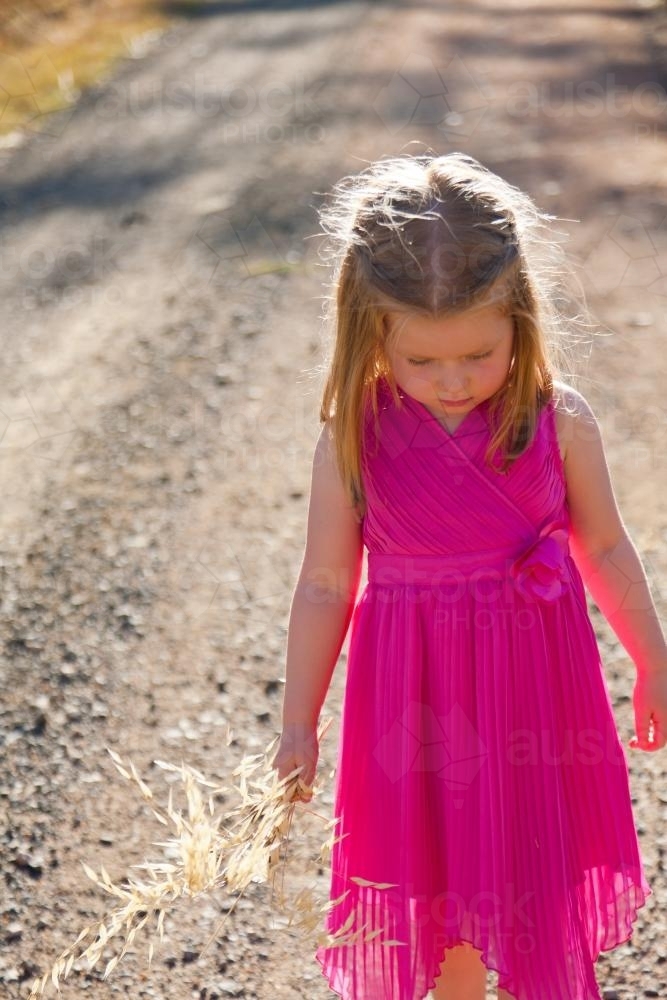 Young girl in pink dress holding a stalk of grass in the sunshine - Australian Stock Image