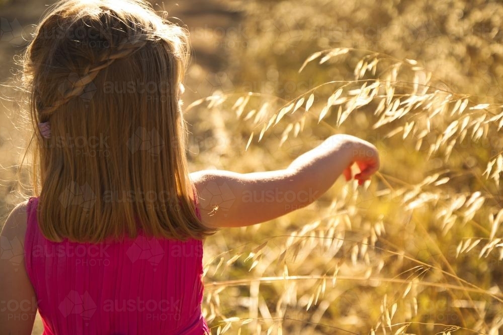 Young girl in pink dress pointing to a stalk of grass in the sunshine - Australian Stock Image