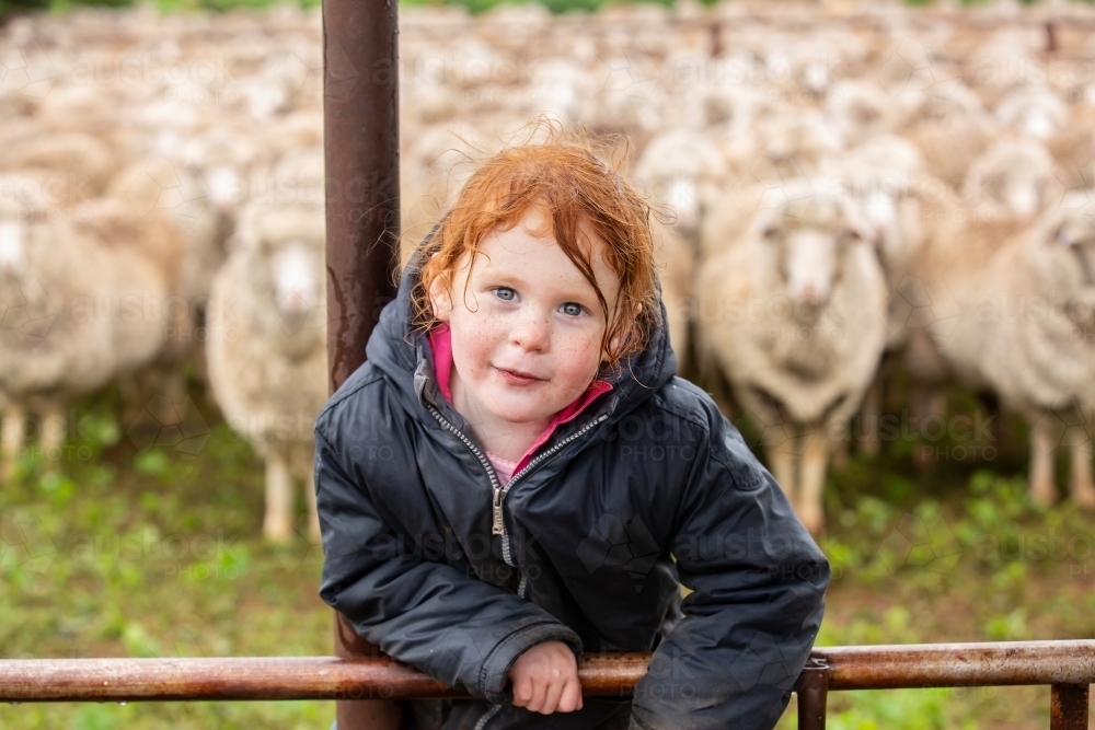 Young girl in the sheep yards on a rainy day - Australian Stock Image