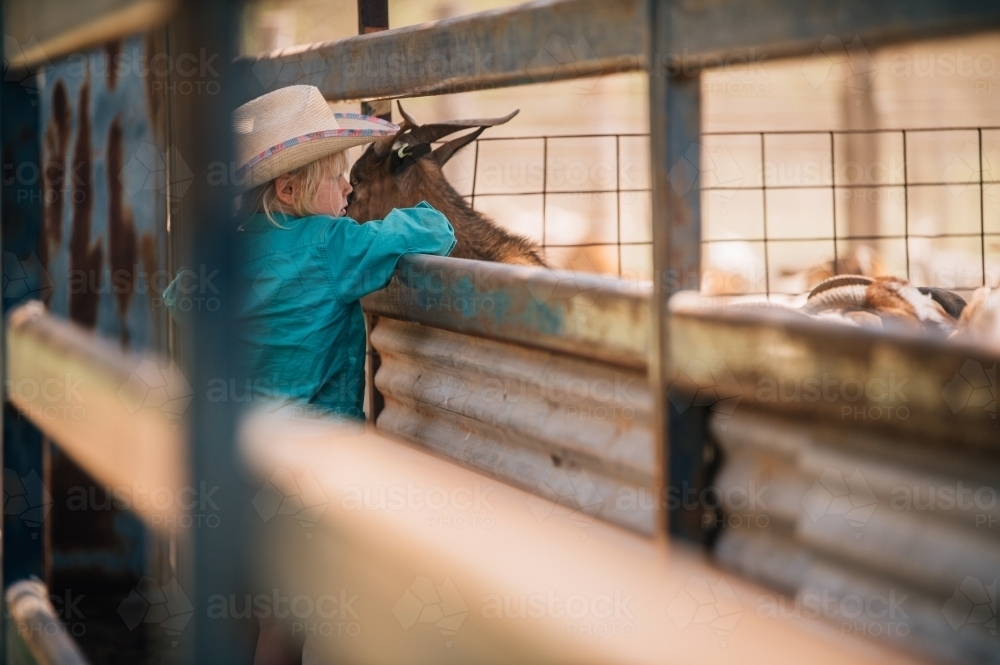 Young Girl in the yards with goats - Australian Stock Image