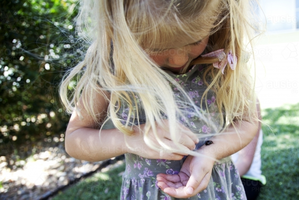 Young girl looking at ladybug on her arm - Australian Stock Image