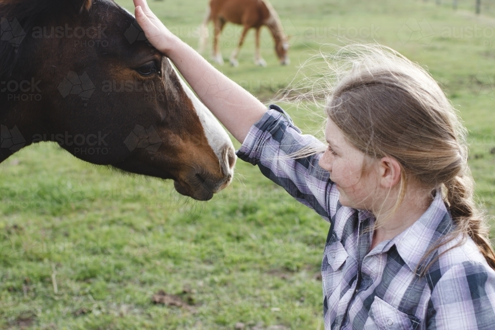 Young girl patting a horse - Australian Stock Image