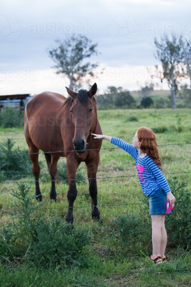 Young girl patting a horse in a  paddock - Australian Stock Image