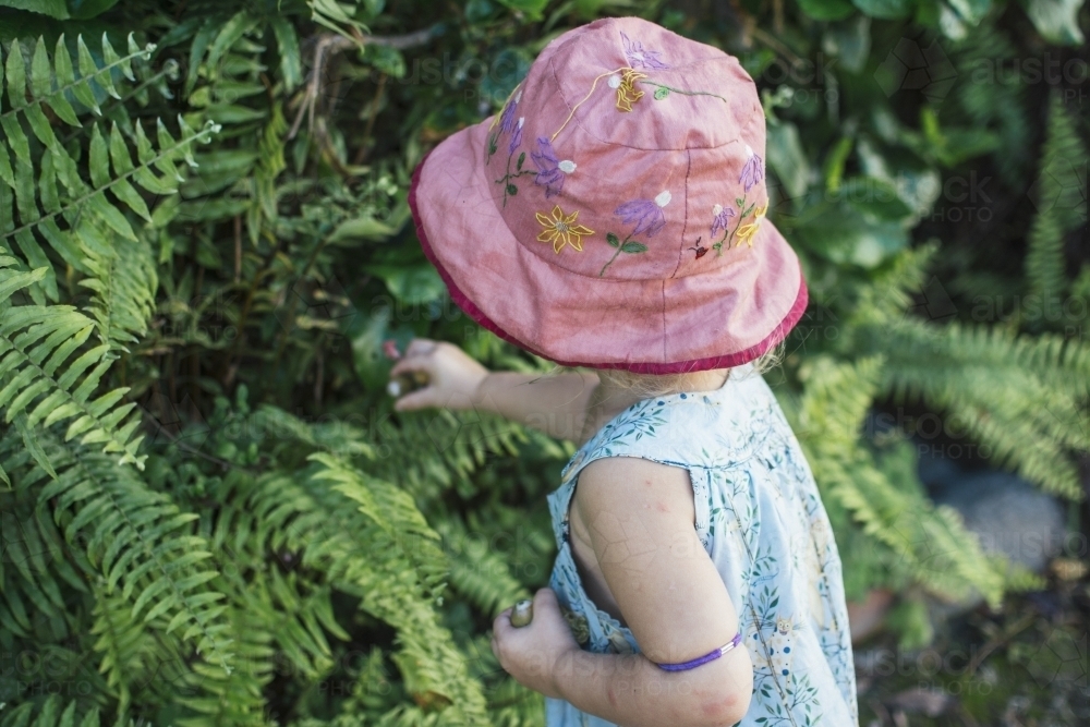 Young girl picking leaves - Australian Stock Image