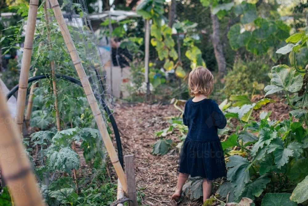 Young girl playing in permaculture garden - Australian Stock Image