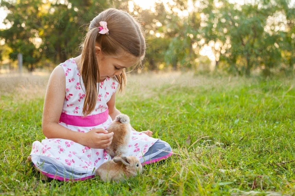 Young girl playing outside with two little brown rabbits - Australian Stock Image