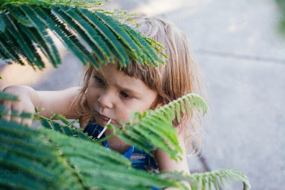 Young girl playing with leaves - Australian Stock Image