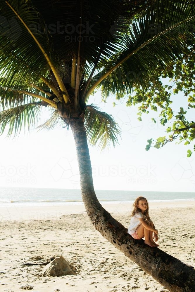 Young girl sitting in a palm tree at the beach - Australian Stock Image