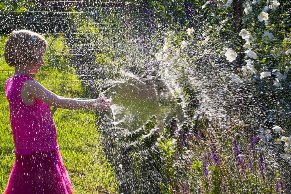 Young girl spraying water in sunshine as she waters the garden - Australian Stock Image