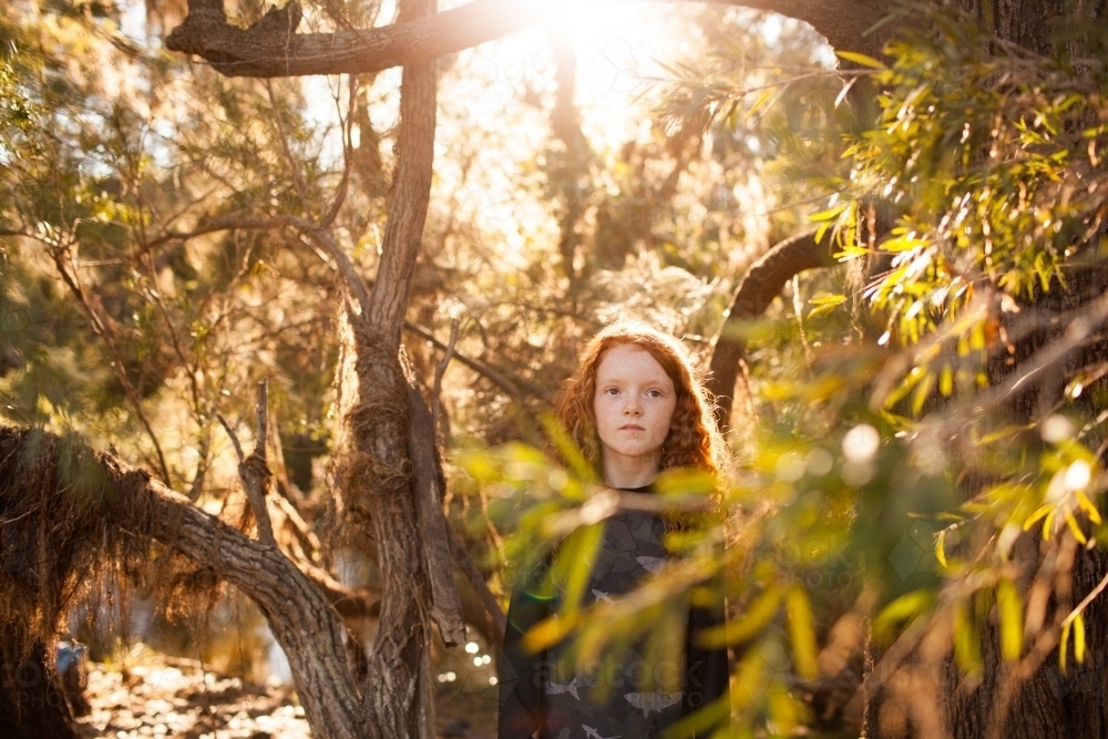 Young girl standing among trees in afternoon light - Australian Stock Image