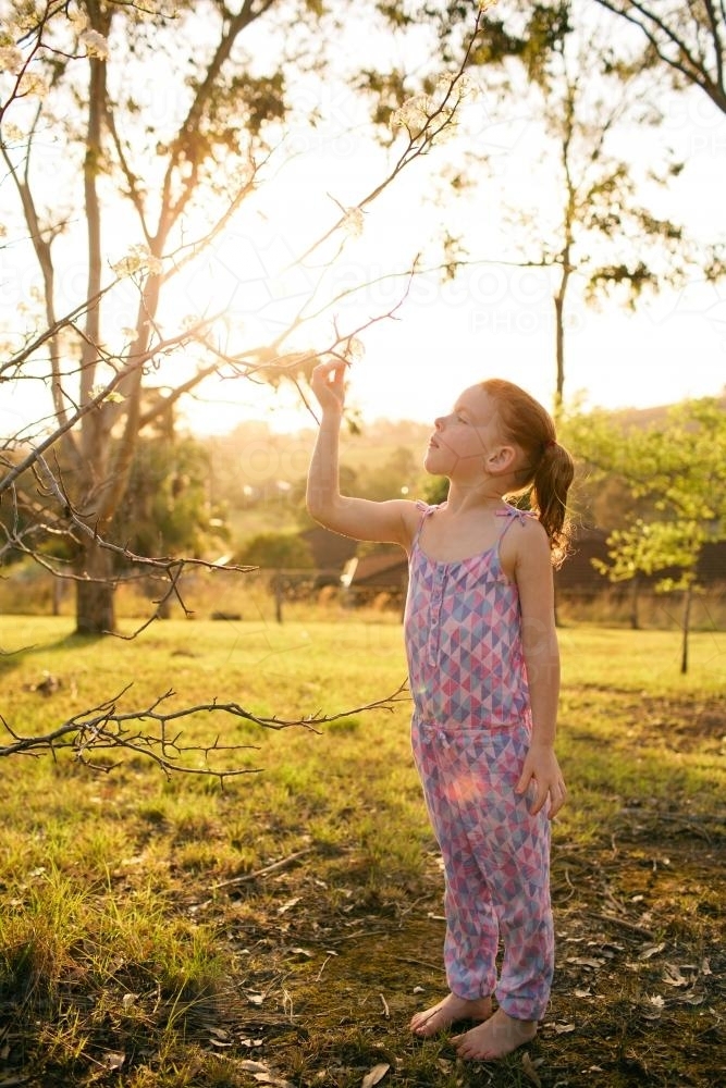 Young girl standing in a field looking up at flowers - Australian Stock Image