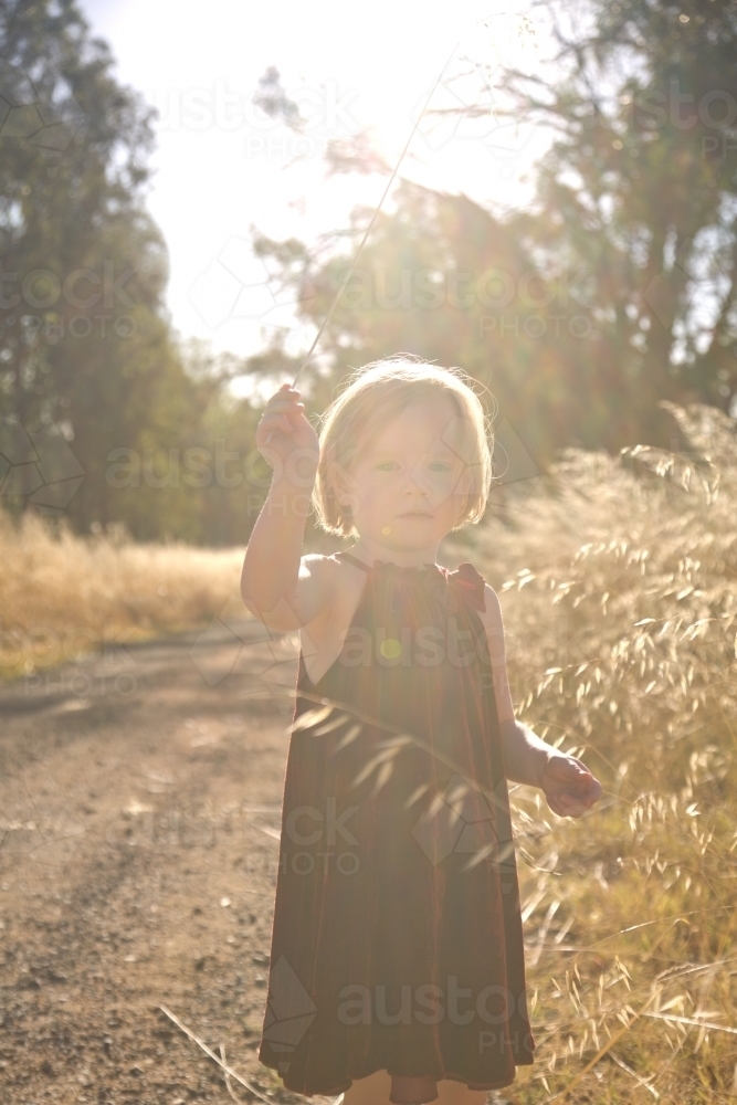 Young girl standing with grass and seeds in summer light - Australian Stock Image