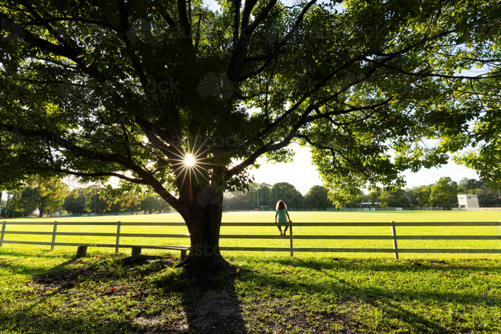 Young girl watching the sunrise under a silhouetted tree at a rural showground - Australian Stock Image