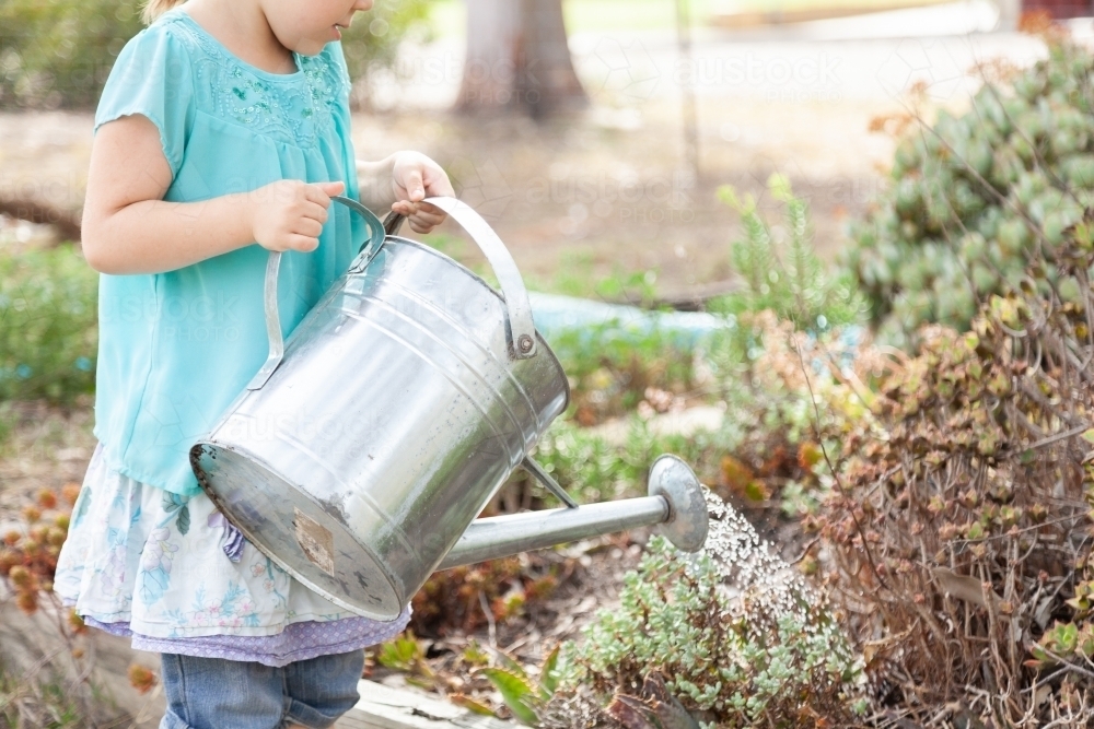 Young girl watering plants in garden with watering can - Australian Stock Image